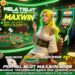 MELATISLOT Slot Terpercaya Dengan Akun Premium